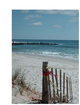 Barnegat Light's expansive, clean beaches will show you why poets and psychologist tout the mental-health value of the ocean.